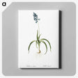 3-33_The-Lilies_canvas