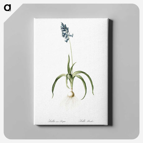 3-33_The-Lilies_canvas