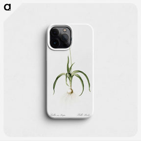 3-33_The-Lilies_phone