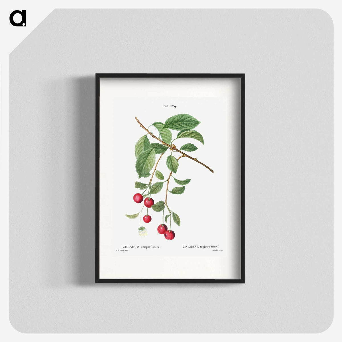 3-33_Treatise-on-Trees-and-Shrubs_blk