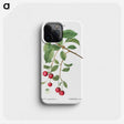 3-33_Treatise-on-Trees-and-Shrubs_phone