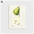 3-33_USDA-Watercolor-Fruit-Painting-Collection_postcard