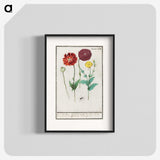 3-34_Anselmus-Boetius-de-Boodt_blk