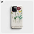 3-34_Anselmus-Boetius-de-Boodt_phone