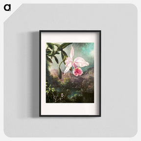 アートポスター-Orchid Blossoms
 - クリーブランド美術館 Poster.