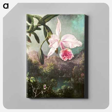 アートパネル-Orchid Blossoms
 - クリーブランド美術館 Canvas.