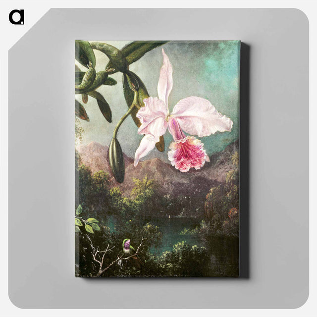 アートパネル-Orchid Blossoms
 - クリーブランド美術館 Canvas.