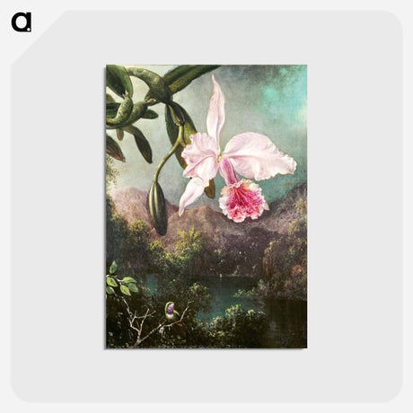 アートポストカード-Orchid Blossoms
 - クリーブランド美術館 Postcard.