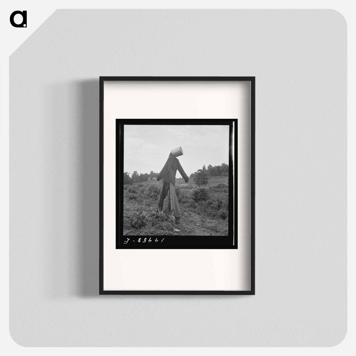 Scarecrow on a newly cleared field with stumps near Roxboro, North Carolina - Dorothea Lange Poster.