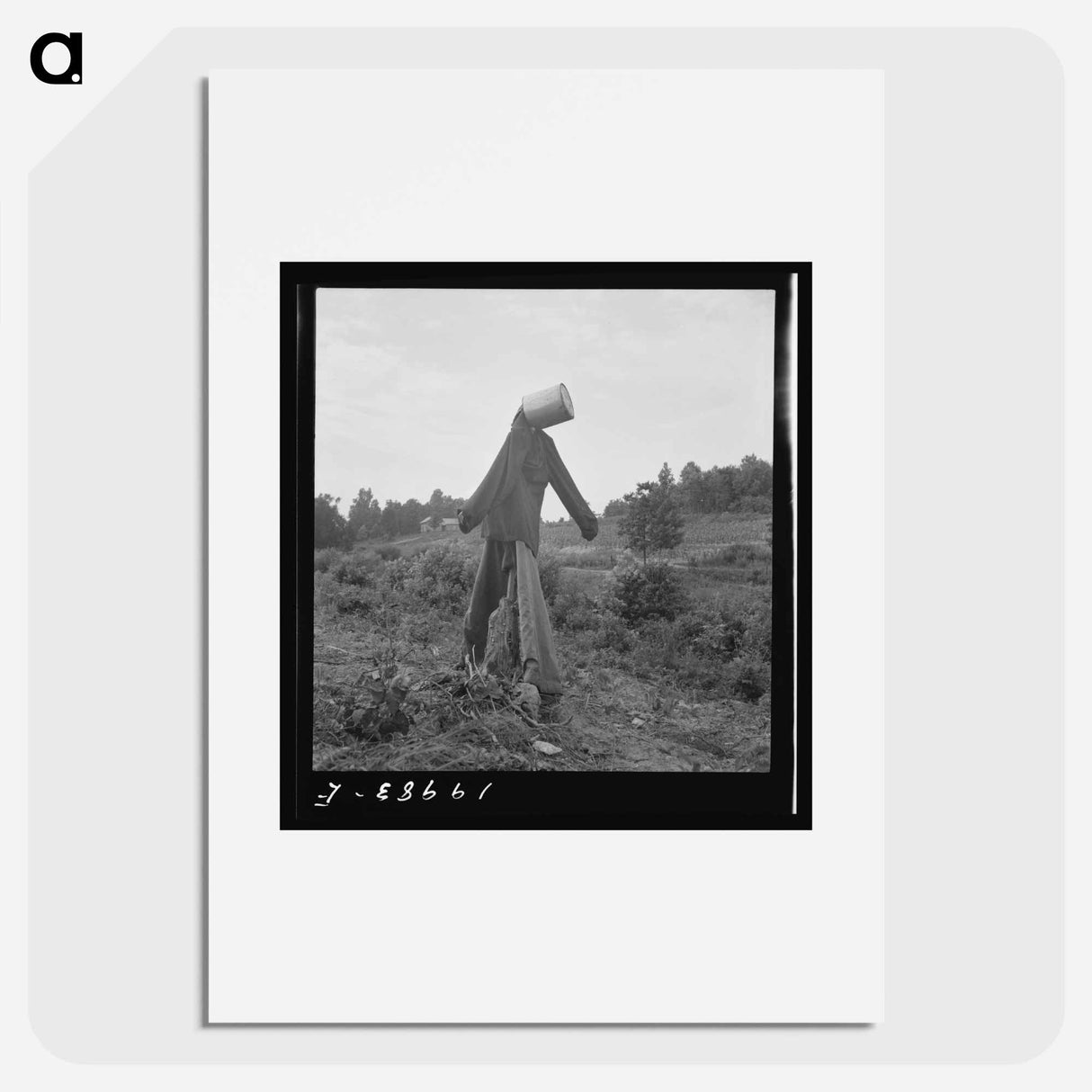 Scarecrow on a newly cleared field with stumps near Roxboro, North Carolina - Dorothea Lange Poster.