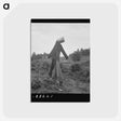 3-34_Dorothea-Lange_postcard