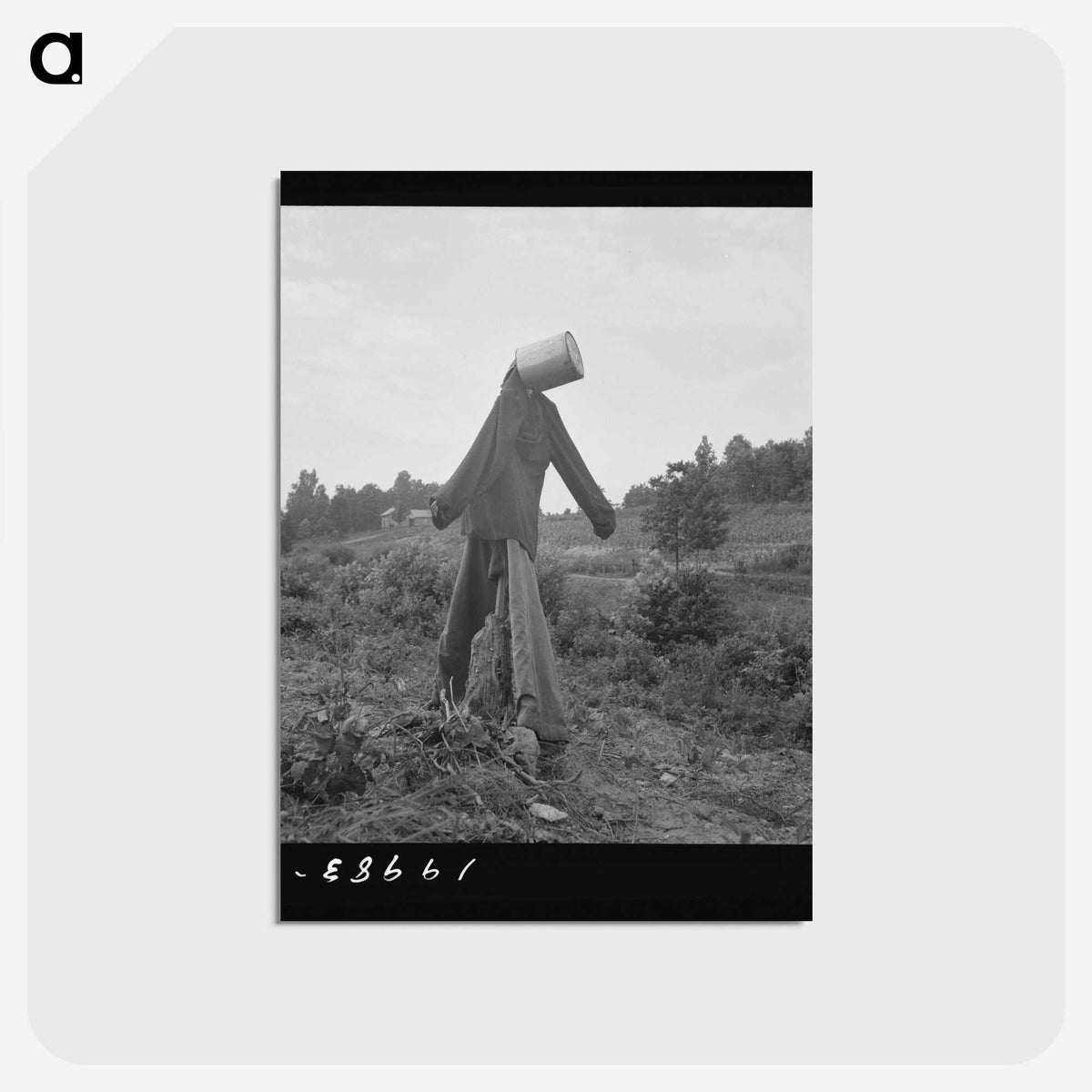 3-34_Dorothea-Lange_postcard