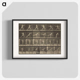 3-34_Eadweard-Muybridge_blk
