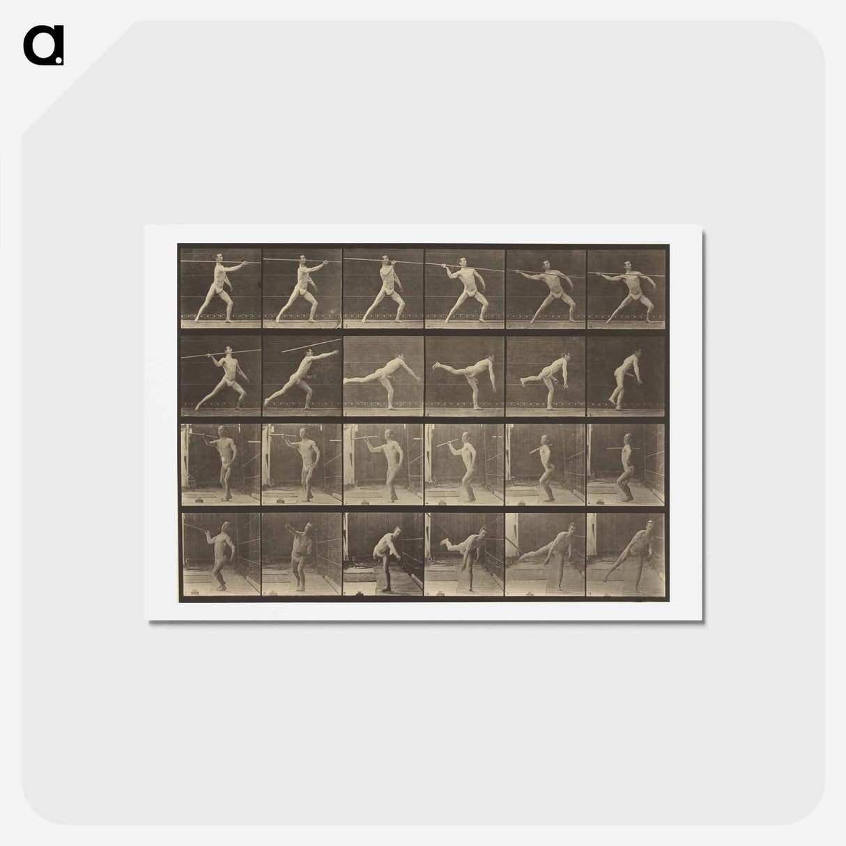 アートポストカード-Animal Locomotion
 - エドワード マイブリッジ Postcard.