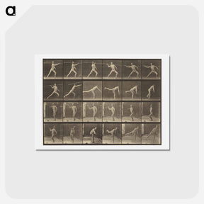 アートポストカード-Animal Locomotion
 - エドワード マイブリッジ Postcard.