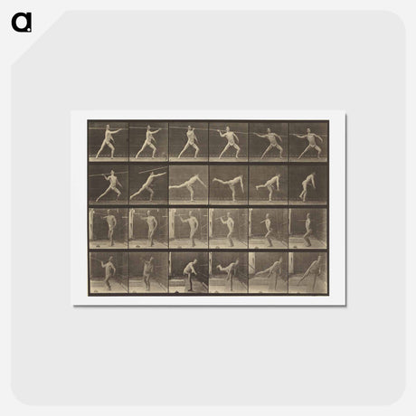 アートポストカード-Animal Locomotion
 - エドワード マイブリッジ Postcard.