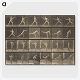 3-34_Eadweard-Muybridge_picture-crop