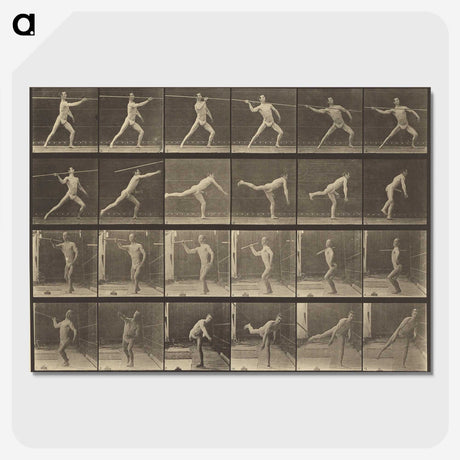 3-34_Eadweard-Muybridge_picture-crop