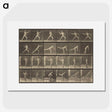 3-34_Eadweard-Muybridge_picture