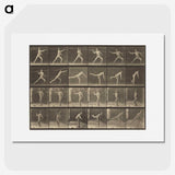 3-34_Eadweard-Muybridge_picture