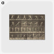 3-34_Eadweard-Muybridge_postcard