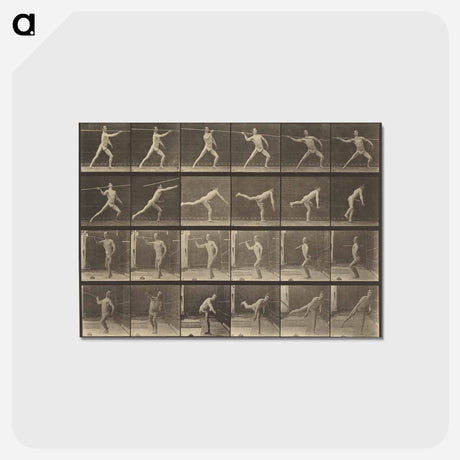 アートポストカード-Animal Locomotion
 - エドワード マイブリッジ Postcard.