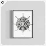 3-34_Ernst-Haeckel_blk-crop
