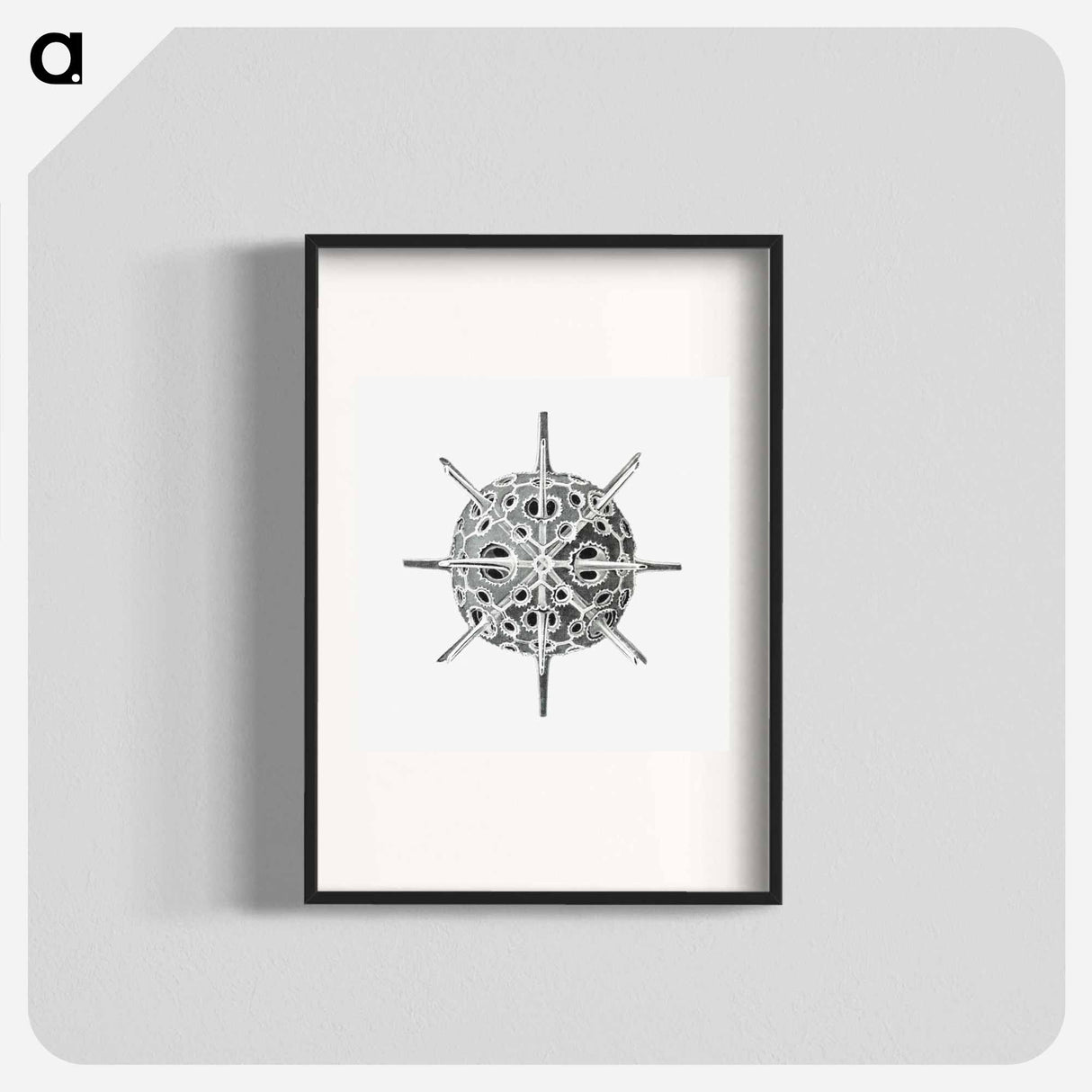 Vintage marine life illustration on white background - エルンスト ヘッケル Poster.