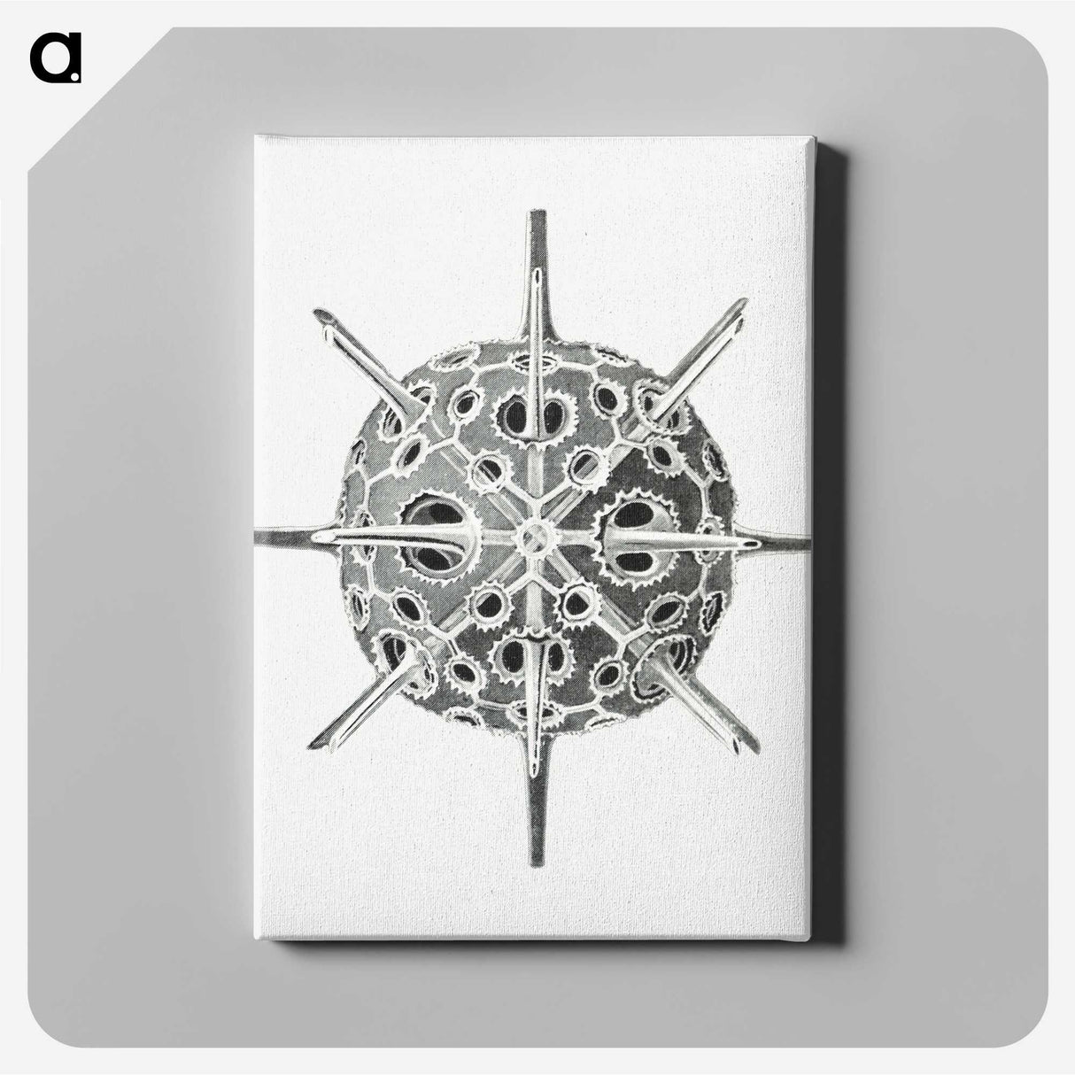 3-34_Ernst-Haeckel_canvas