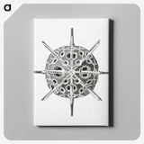 3-34_Ernst-Haeckel_canvas
