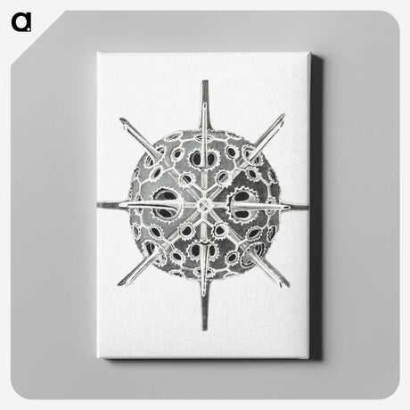 3-34_Ernst-Haeckel_canvas