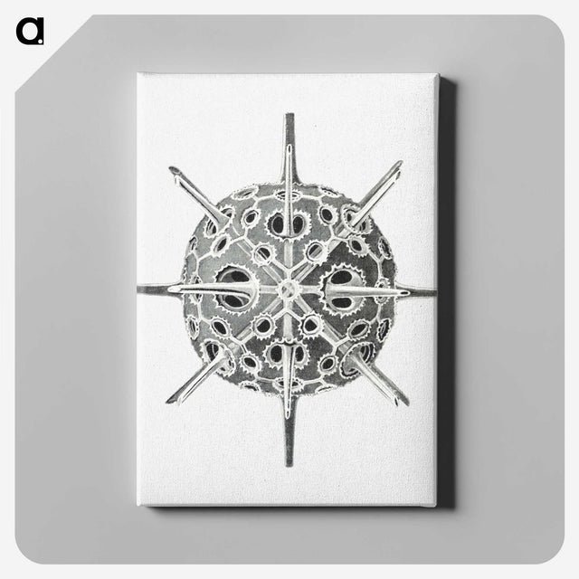 3-34_Ernst-Haeckel_canvas