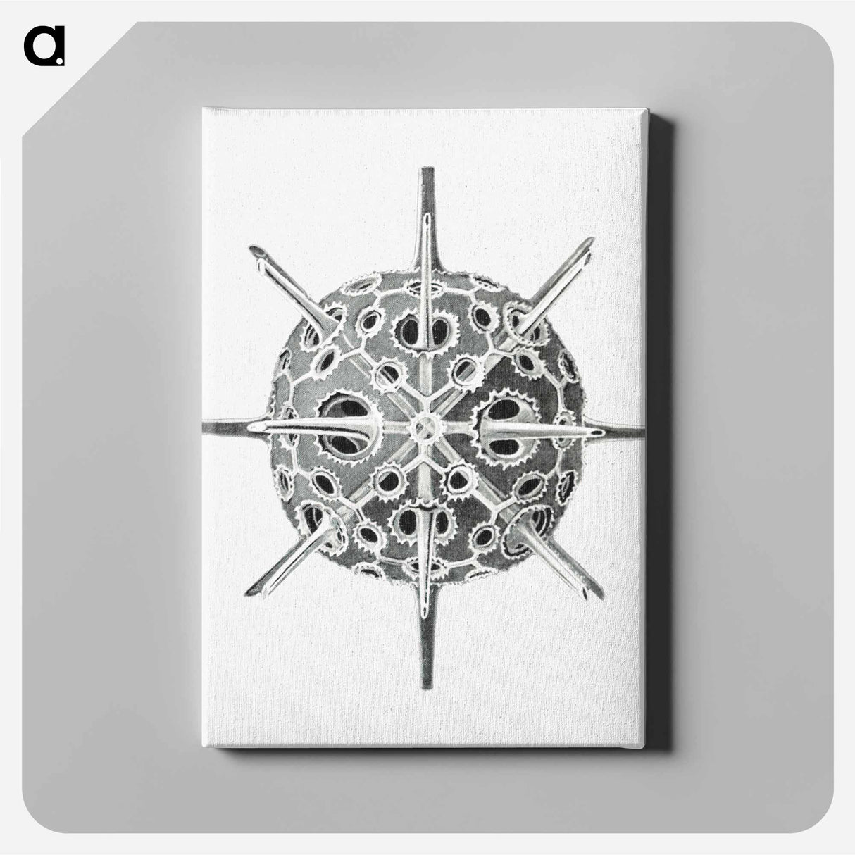 Vintage marine life illustration on white background - エルンスト ヘッケル Canvas.