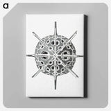 Vintage marine life illustration on white background - エルンスト ヘッケル Canvas.