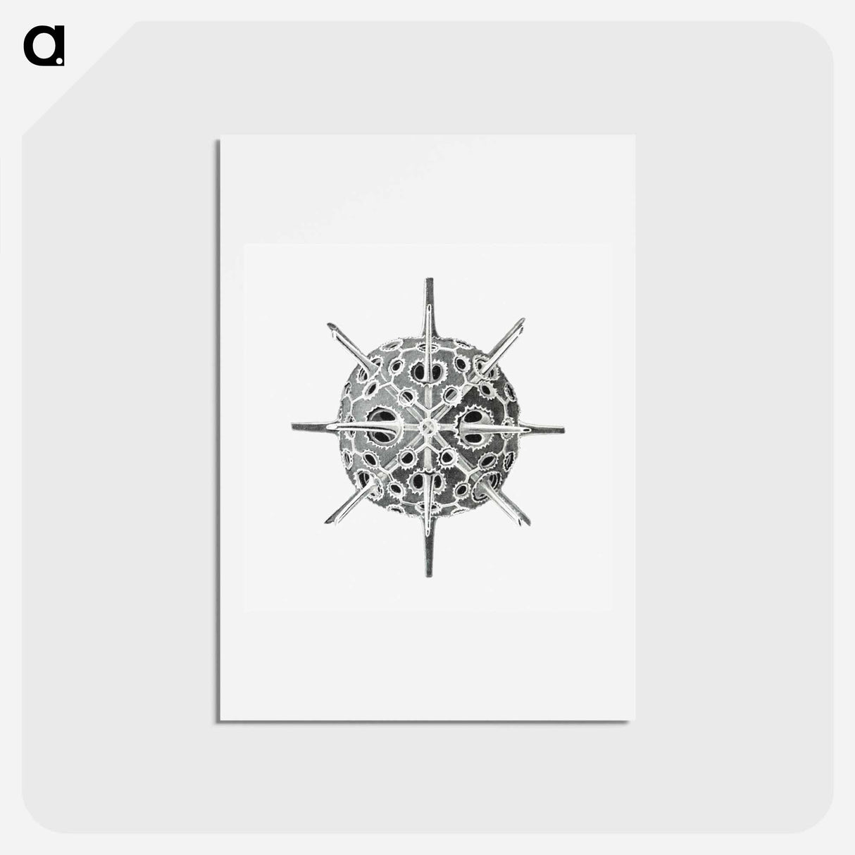 アートポストカード-Vintage marine life illustration on white background - エルンスト ヘッケル Postcard.