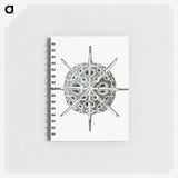 3-34_Ernst-Haeckel_memo