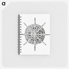 3-34_Ernst-Haeckel_memo