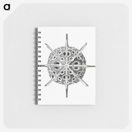 3-34_Ernst-Haeckel_memo