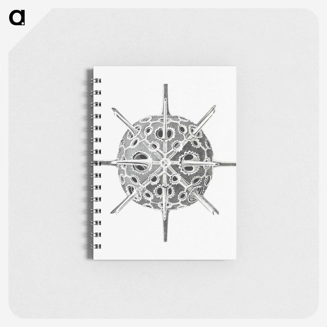 3-34_Ernst-Haeckel_memo