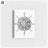 アートメモ帳-Vintage marine life illustration on white background - エルンスト ヘッケル Memo.