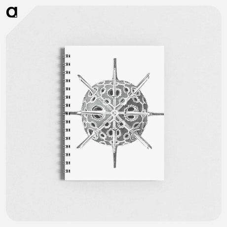 アートメモ帳-Vintage marine life illustration on white background - エルンスト ヘッケル Memo.