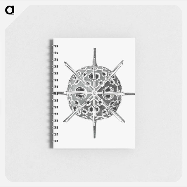 アートメモ帳-Vintage marine life illustration on white background - エルンスト ヘッケル Memo.