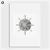 3-34_Ernst-Haeckel_picture