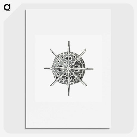 3-34_Ernst-Haeckel_picture