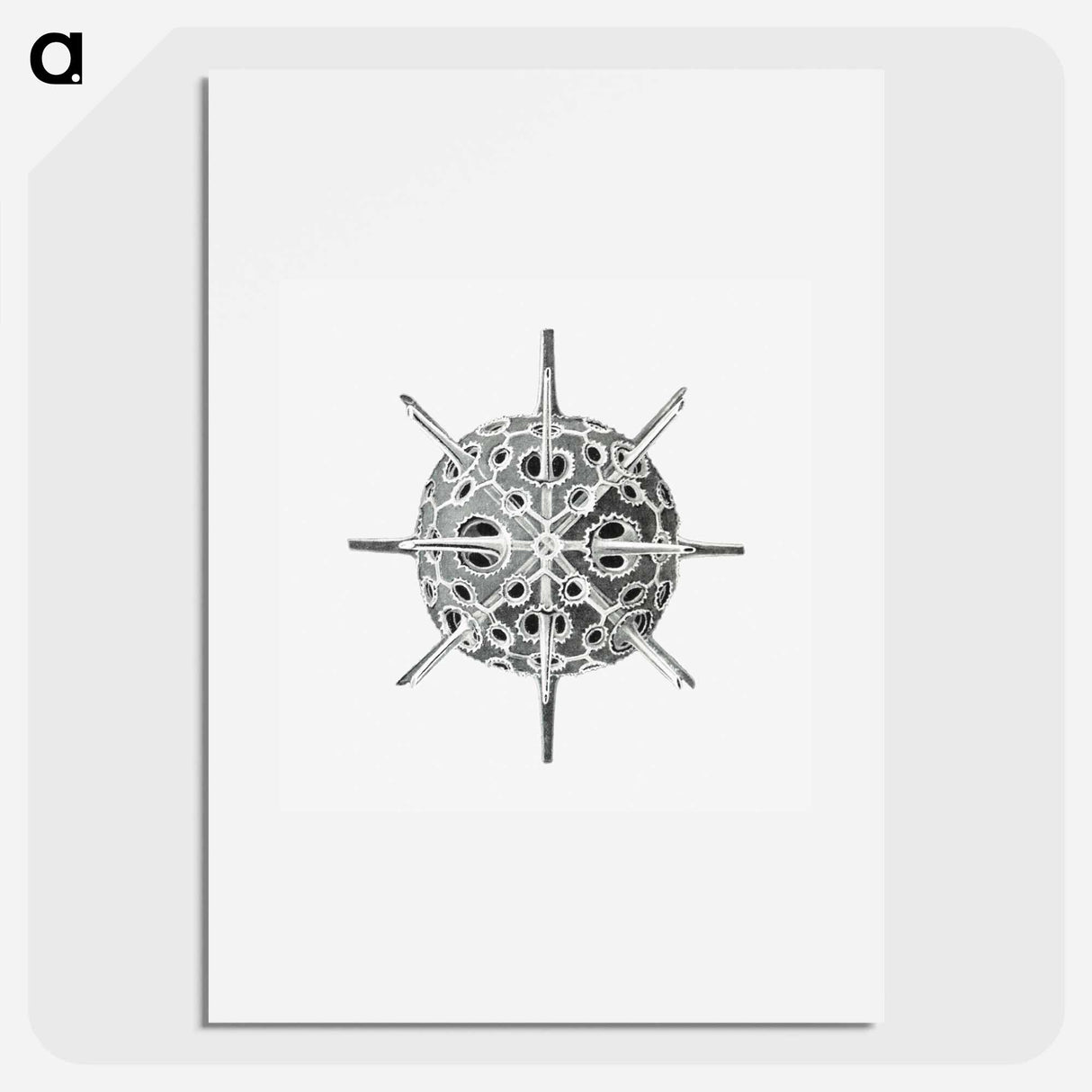 Vintage marine life illustration on white background - エルンスト ヘッケル Poster.