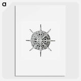 Vintage marine life illustration on white background - エルンスト ヘッケル Poster.