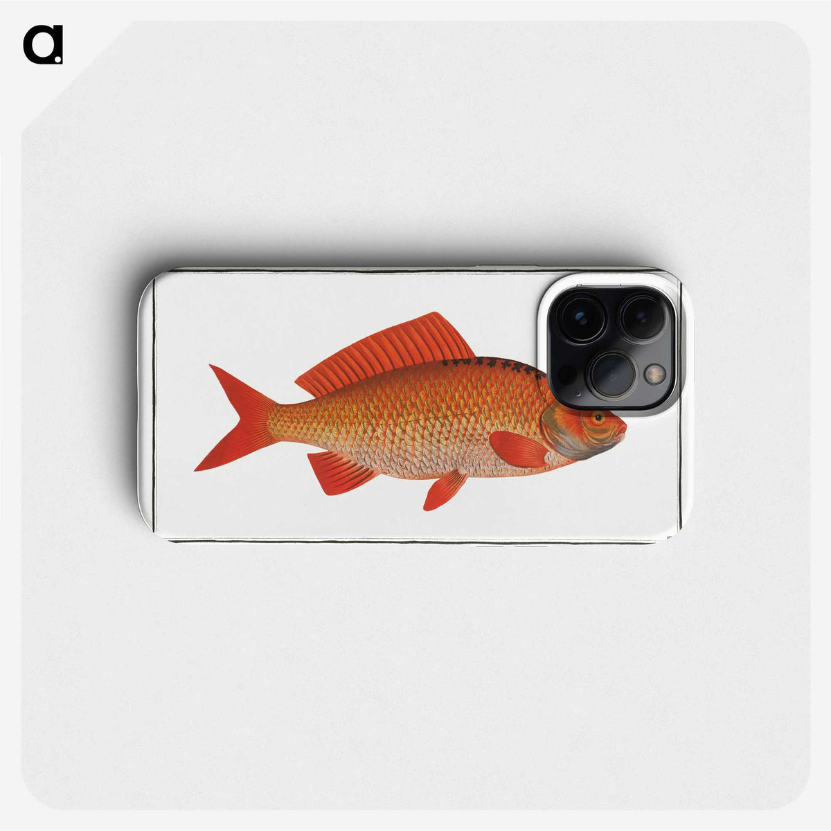3-34_Ichtyologie-ou-Histoire-naturelle_phone