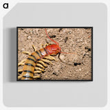 3-34_Insects-Unlocked-Project_blk-crop