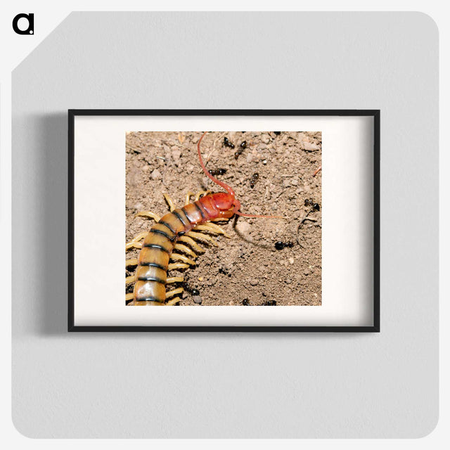 3-34_Insects-Unlocked-Project_blk