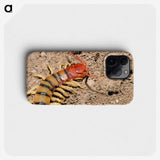 3-34_Insects-Unlocked-Project_phone